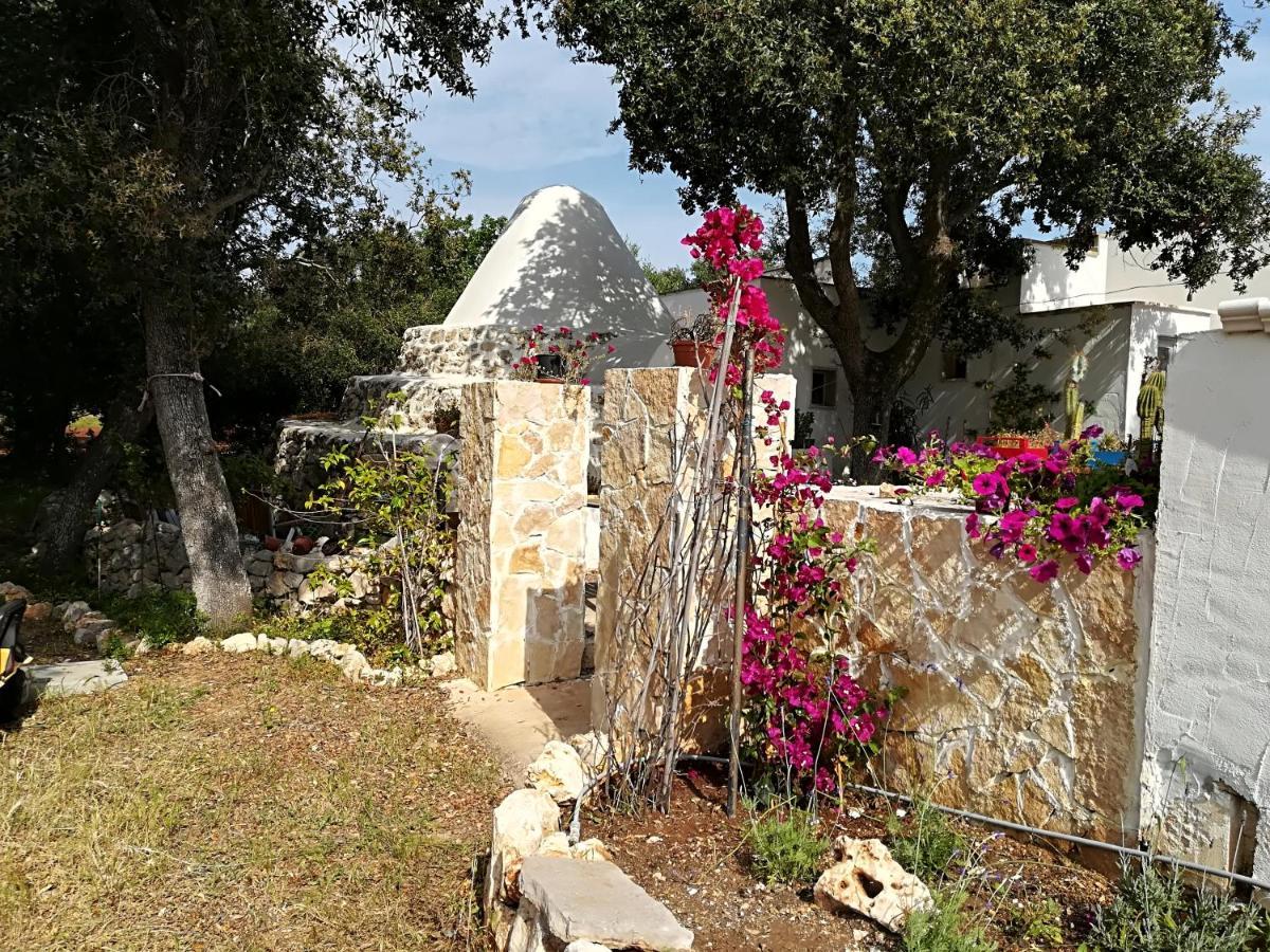 Trullo Alessandro E Villa Raffaela 圣维托诺曼 外观 照片