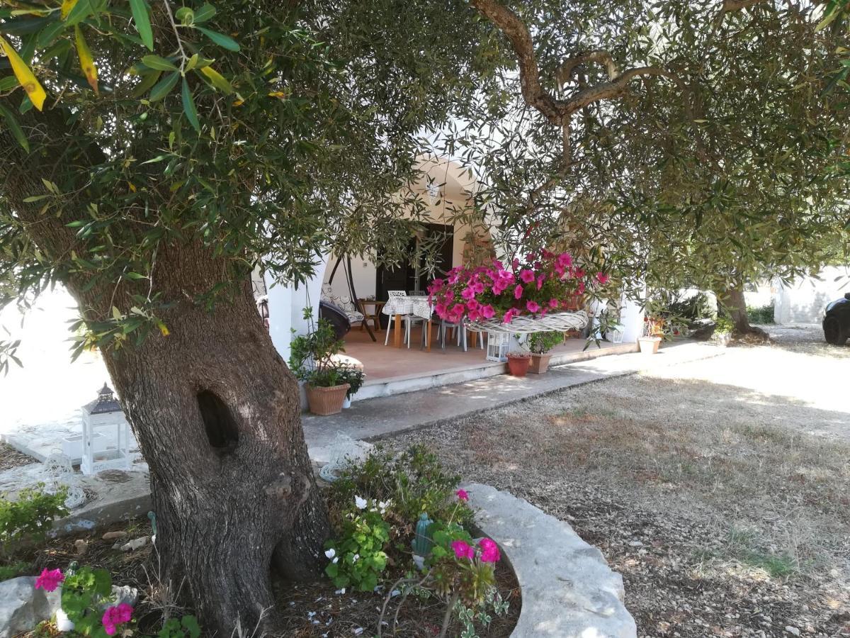 Trullo Alessandro E Villa Raffaela 圣维托诺曼 外观 照片