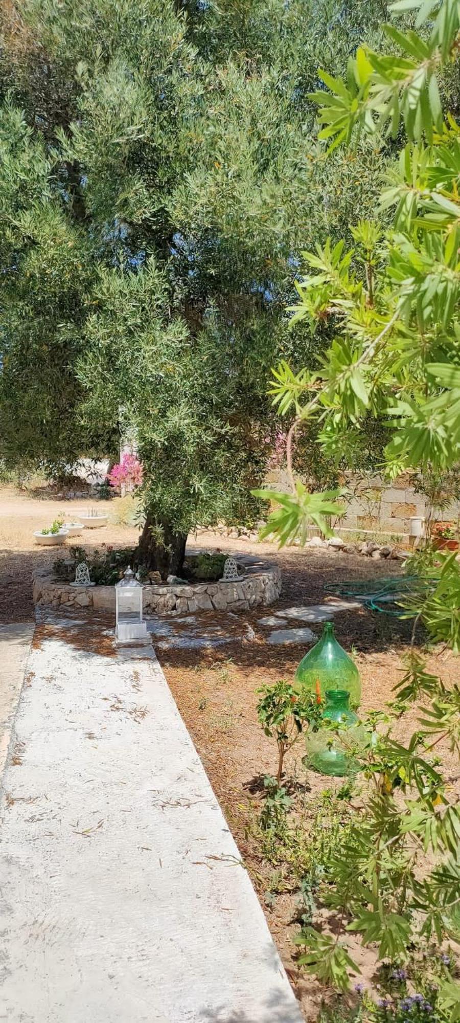 Trullo Alessandro E Villa Raffaela 圣维托诺曼 客房 照片
