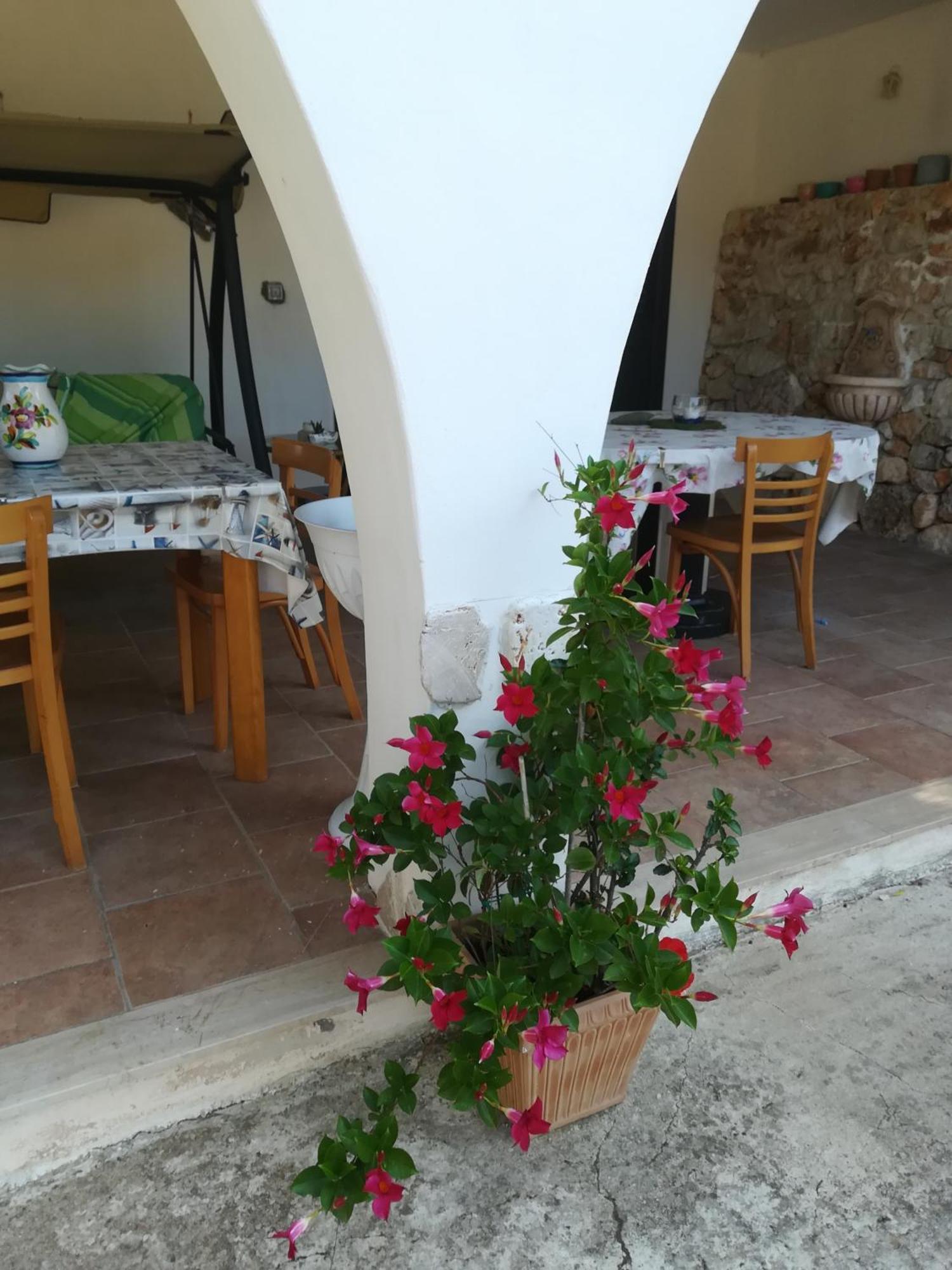Trullo Alessandro E Villa Raffaela 圣维托诺曼 客房 照片